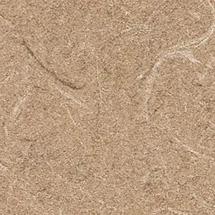 4669 Natural Tigris